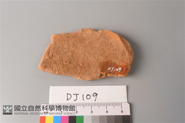 陶片藏品圖，第2張