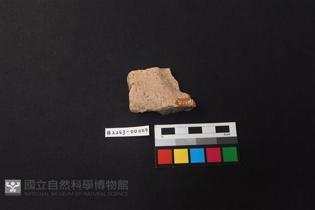 陶片藏品圖，第2張