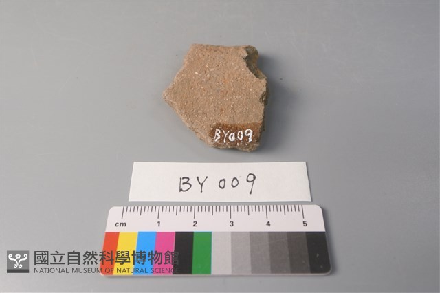 陶片藏品圖，第2張