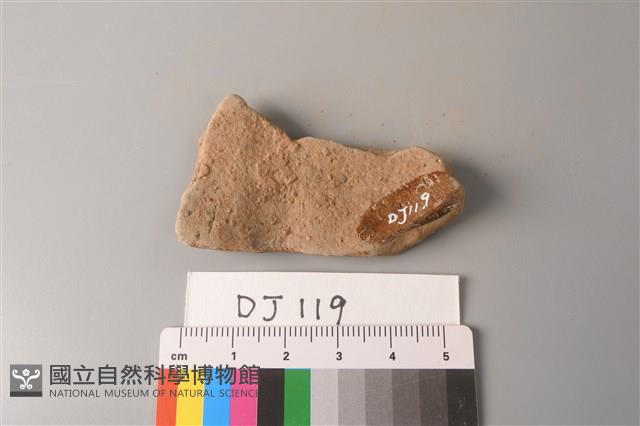 陶片藏品圖，第2張