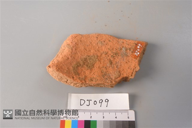 陶片藏品圖，第2張