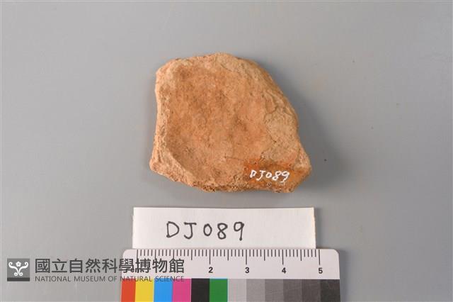 陶片藏品圖，第2張