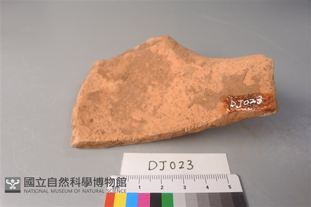 陶片藏品圖，第2張