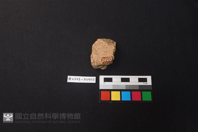 陶片藏品圖，第2張