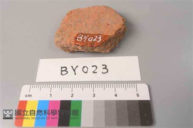 陶片藏品圖，第2張