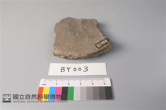 陶片藏品圖，第2張