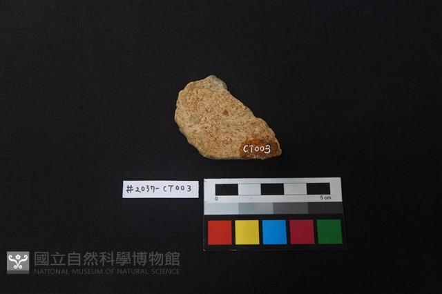 陶片藏品圖，第2張