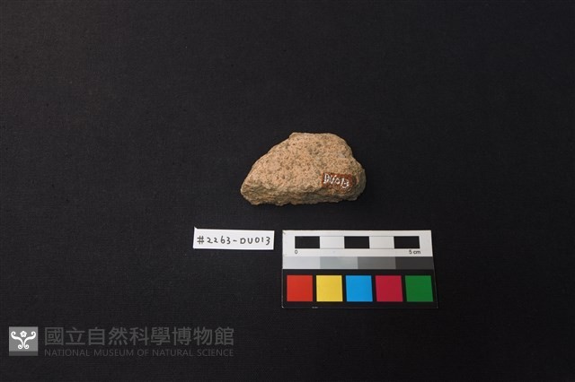 陶片藏品圖，第2張