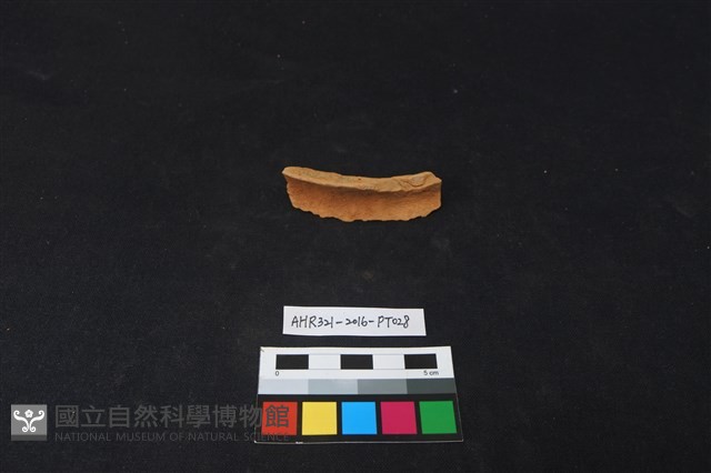陶片藏品圖，第2張