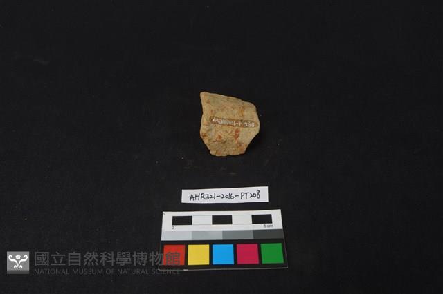 陶片藏品圖，第2張