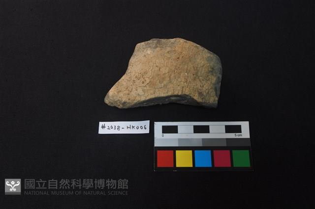 陶片藏品圖，第1張