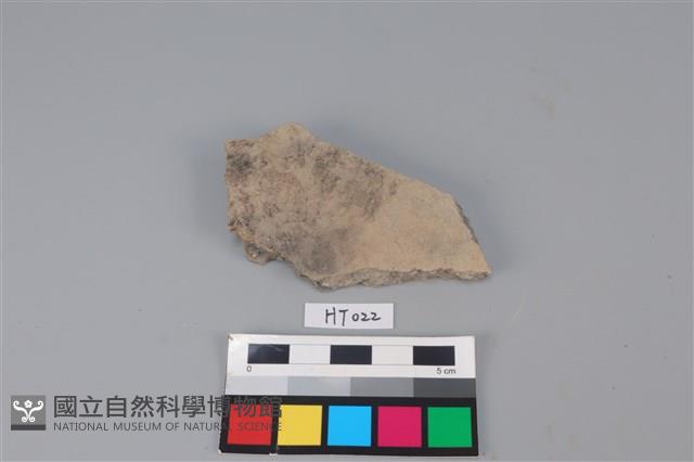 陶片藏品圖，第1張