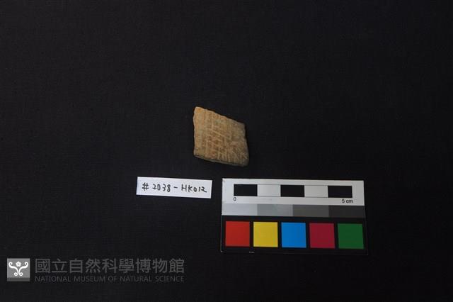 陶片藏品圖，第1張