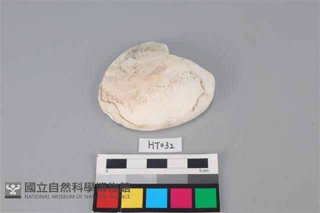 獸骨藏品圖，第1張