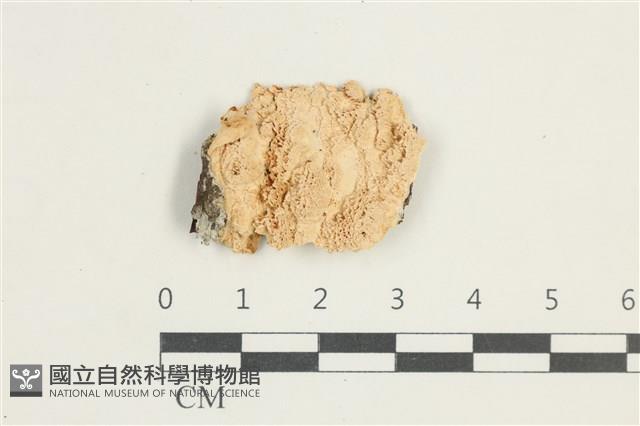 登錄號:F0025434藏品圖，第1張
