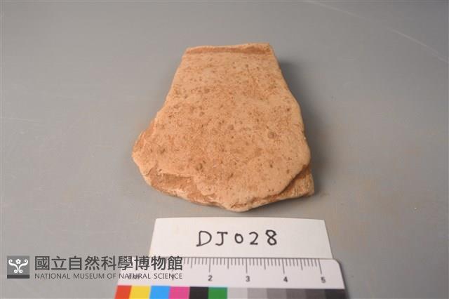 陶片藏品圖，第1張