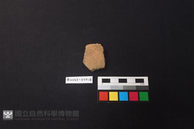 陶片藏品圖，第1張