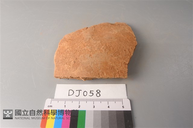 陶片藏品圖，第1張