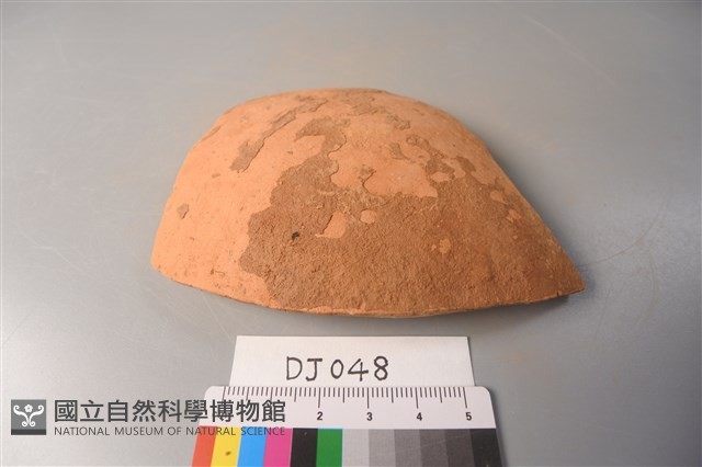 陶片藏品圖，第1張