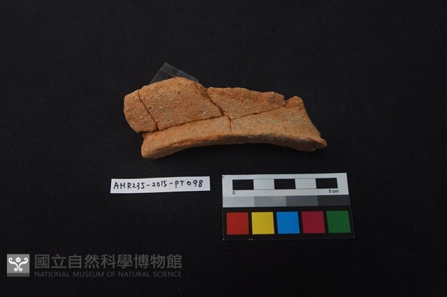 陶片藏品圖，第1張