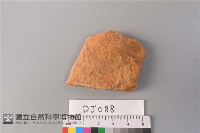 陶片藏品圖，第1張