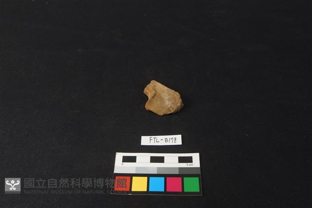 鹿骨藏品圖，第1張