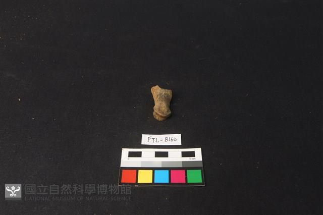 鹿骨藏品圖，第1張