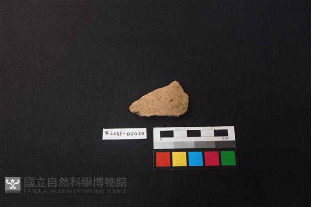 陶片藏品圖，第1張