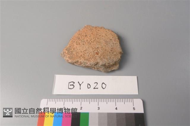 陶片藏品圖，第1張