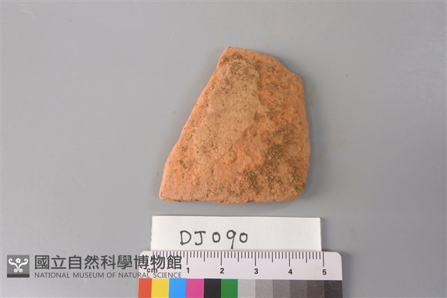 陶片藏品圖，第1張