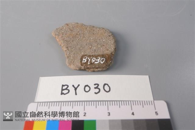 陶片藏品圖，第1張