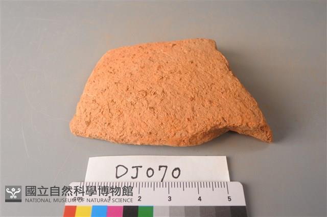 陶片藏品圖，第1張