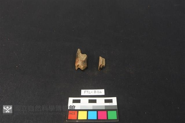 獸骨藏品圖，第1張