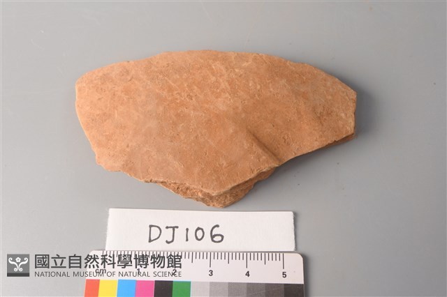 陶片藏品圖，第1張