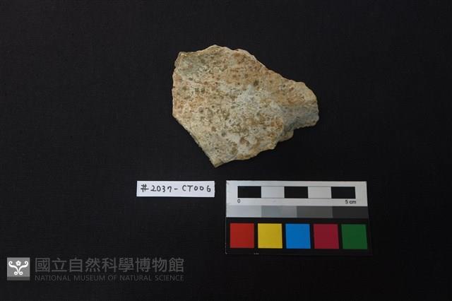 陶片藏品圖，第1張