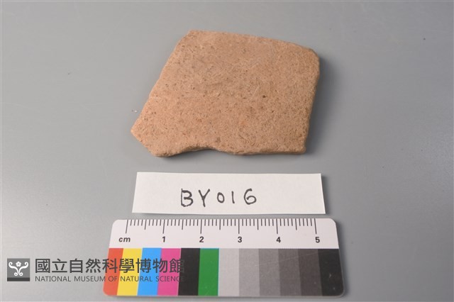 陶片藏品圖，第1張