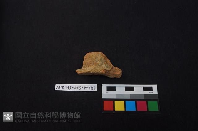 陶片藏品圖，第1張