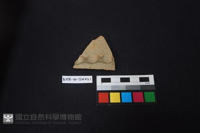 花盆藏品圖，第1張