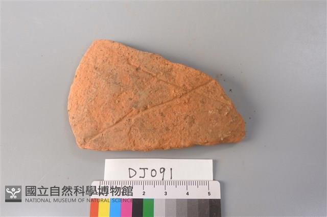 陶片藏品圖，第1張