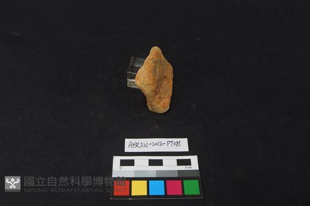 陶片藏品圖，第1張