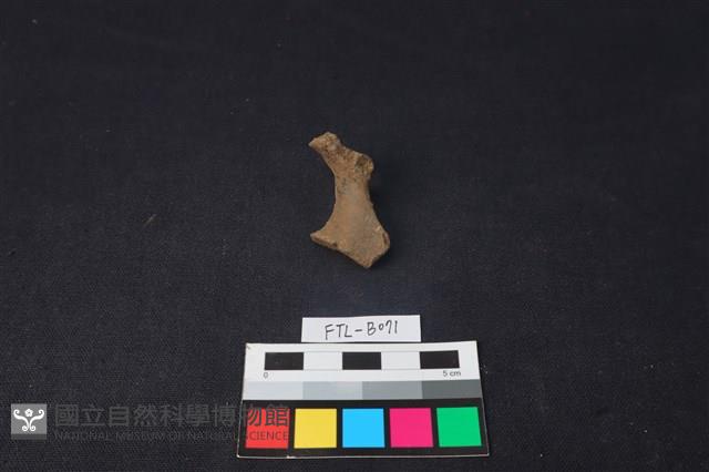 獸骨藏品圖，第1張