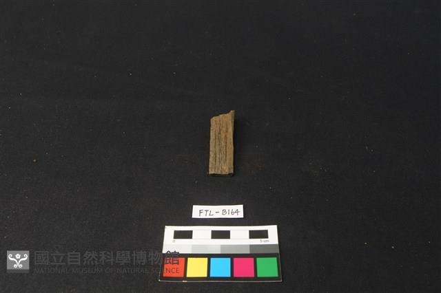 獸骨藏品圖，第1張