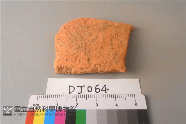 陶片藏品圖，第1張