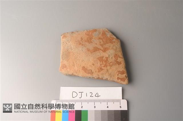 陶片藏品圖，第1張