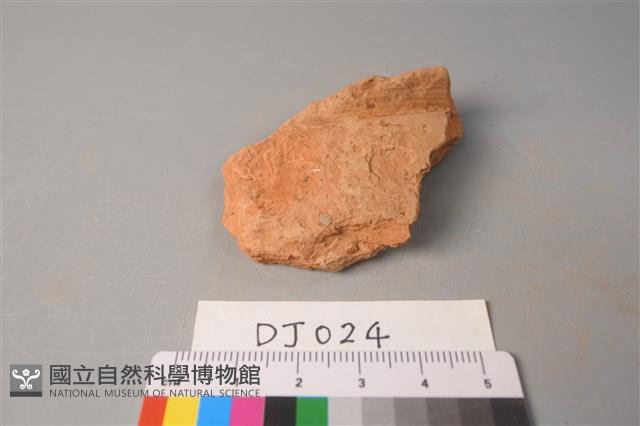 陶片藏品圖，第1張