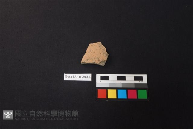 陶片藏品圖，第1張