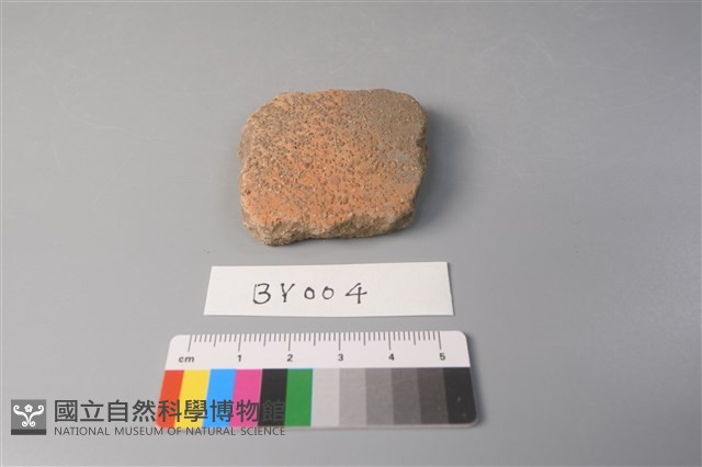 陶片藏品圖，第1張