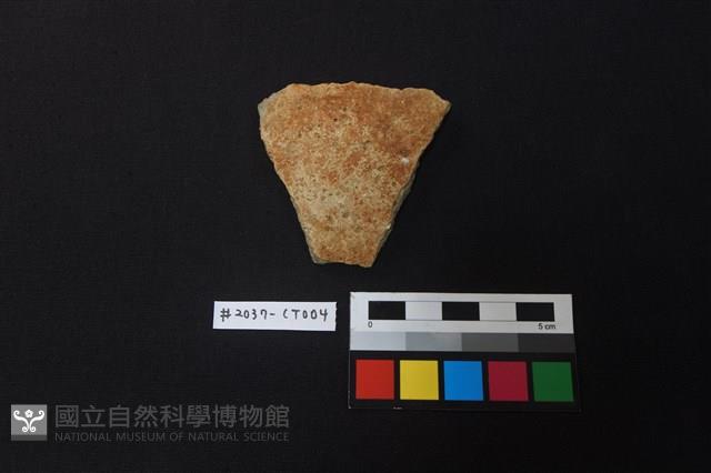 陶片藏品圖，第1張