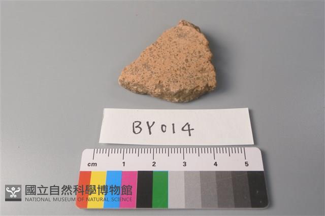 陶片藏品圖，第1張