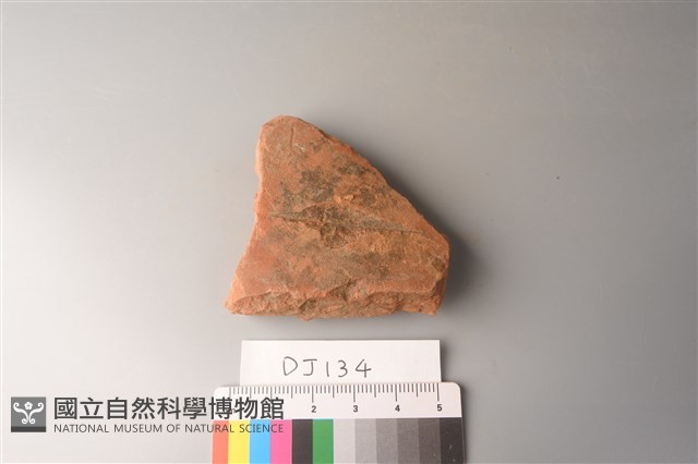 陶片藏品圖，第1張